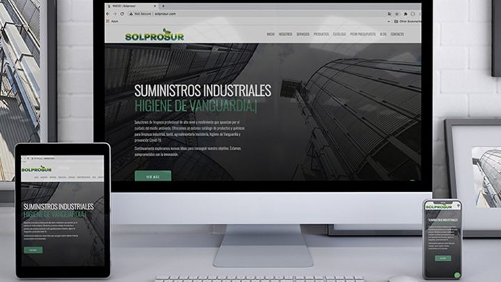 diseño web solprosur