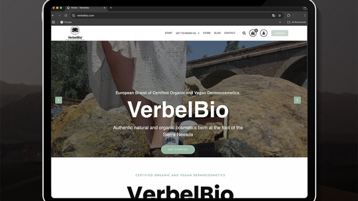 diseño paginas web el Ejido