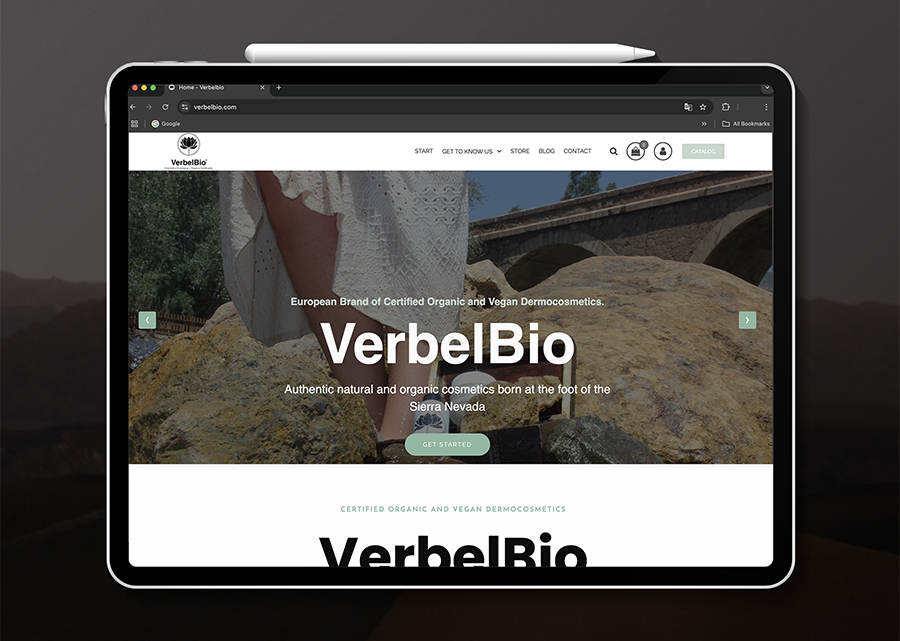 diseño paginas web el Ejido